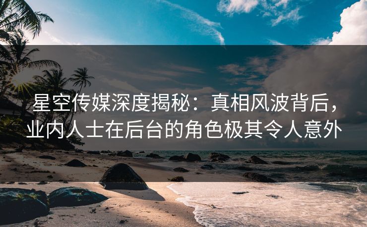 星空传媒深度揭秘：真相风波背后，业内人士在后台的角色极其令人意外