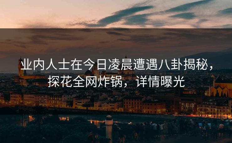 业内人士在今日凌晨遭遇八卦揭秘,探花全网炸锅,详情曝光