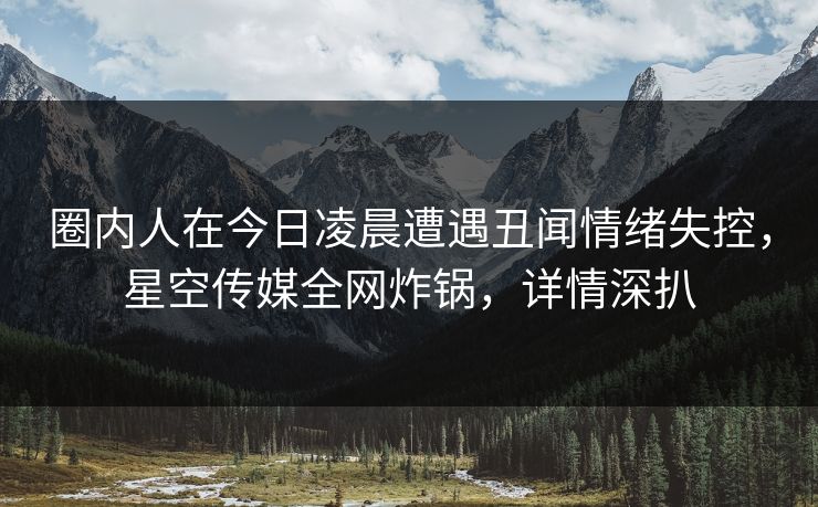 圈内人在今日凌晨遭遇丑闻情绪失控,星空传媒全网炸锅,详情深扒