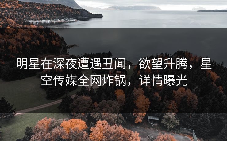 明星在深夜遭遇丑闻,欲望升腾,星空传媒全网炸锅,详情曝光 明星在深夜遭遇丑闻,欲望升腾,星空传媒全网炸锅,详情曝光