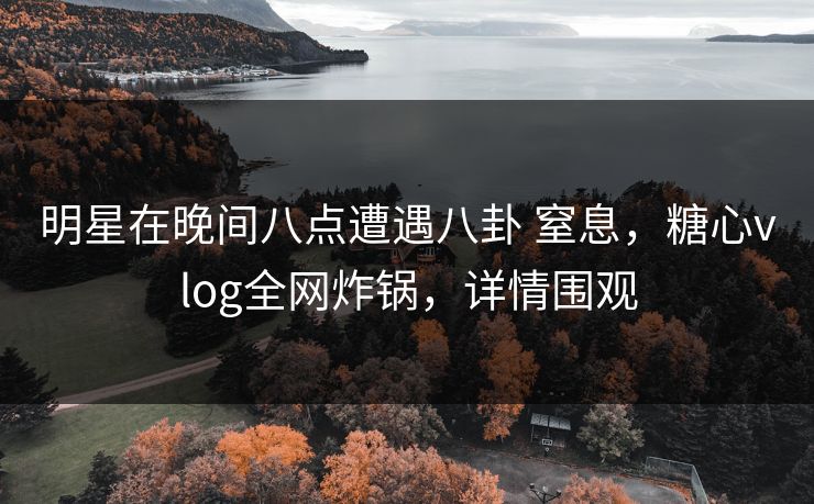 明星在晚间八点遭遇八卦 窒息，糖心vlog全网炸锅，详情围观